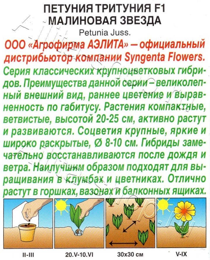 Петуния Тритуния F1 малиновая звезда 7шт