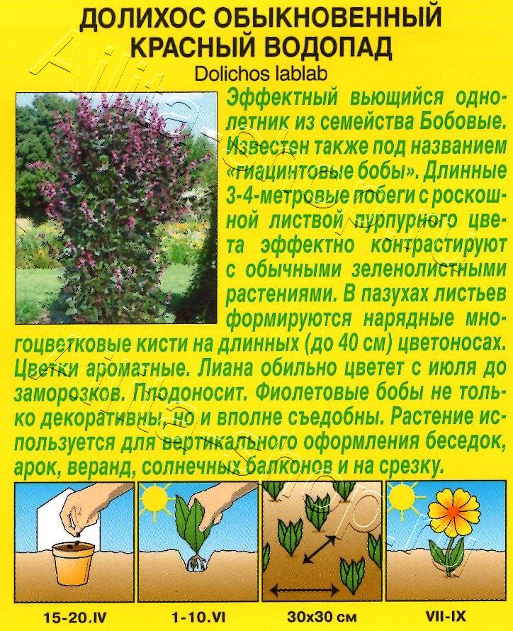 Долихос Красный водопад 1г