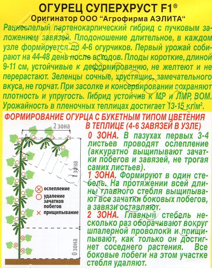 Огурец Суперхруст F1 10шт