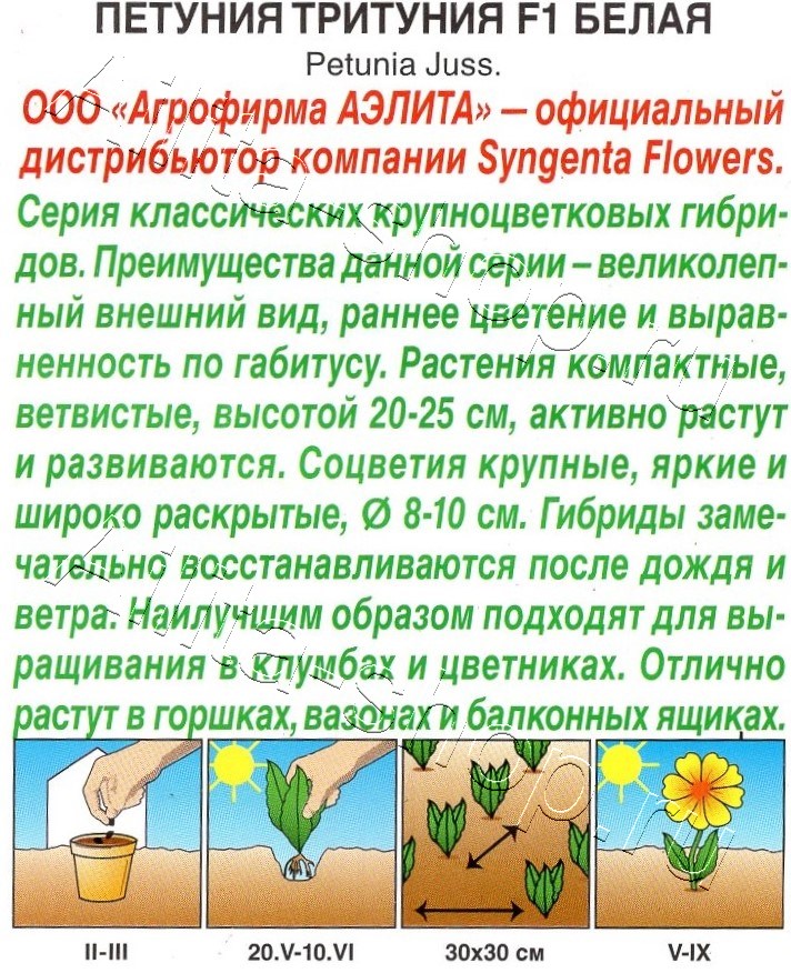 Петуния Тритуния F1 белая 7шт