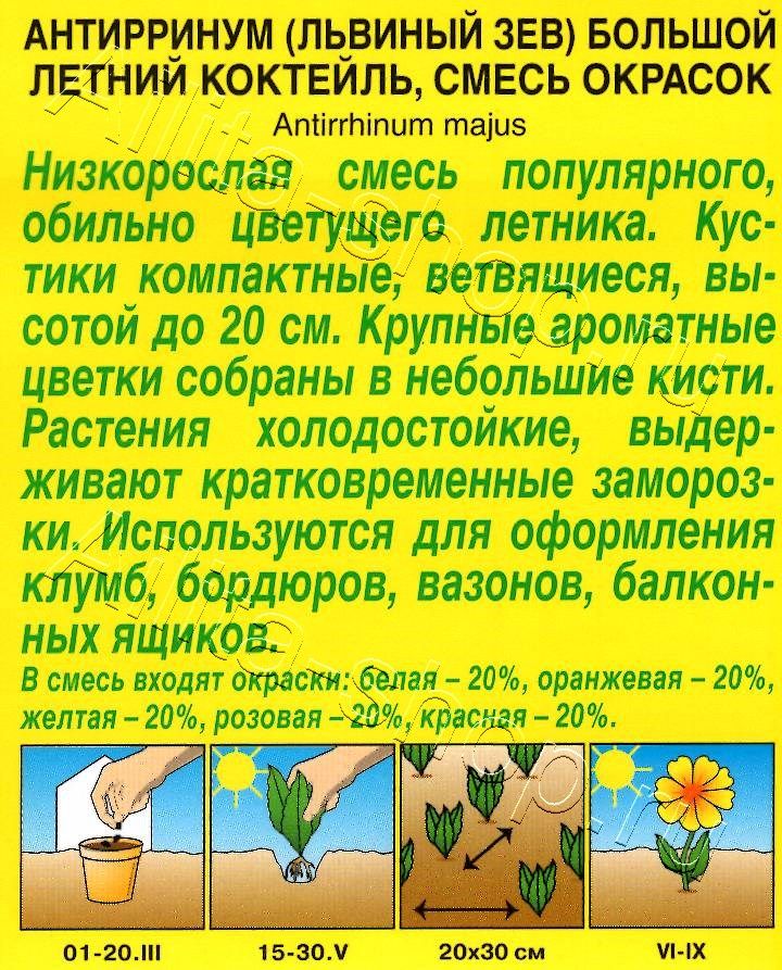 Львиный зев Летний коктейль, смесь окрасок 0,1г