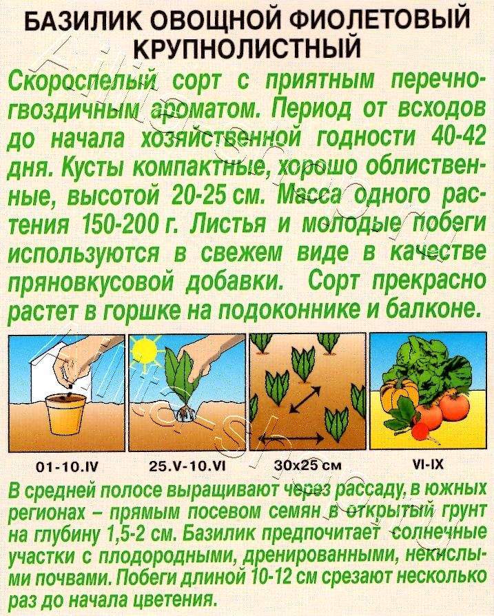 Базилик овощной Фиолетовый крупнолистный 0,1г