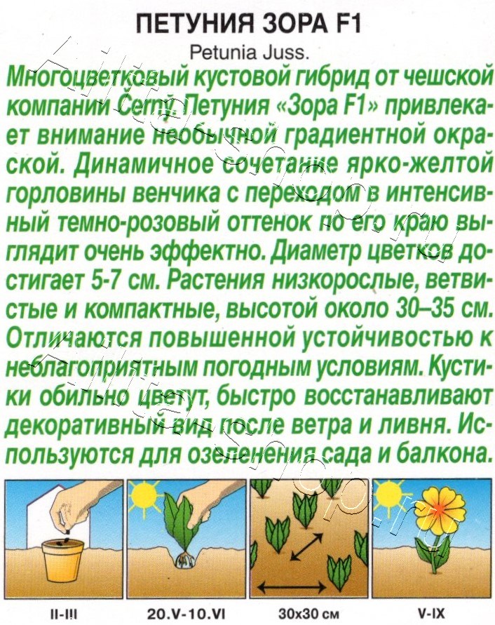 Петуния Зора F1 многоцветковая 7шт