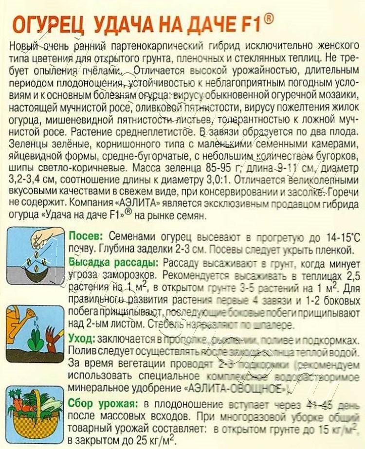 Огурец Удача на даче F1 10шт