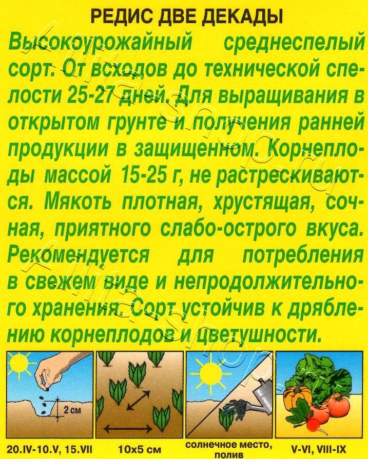 Редис Две декады 2г