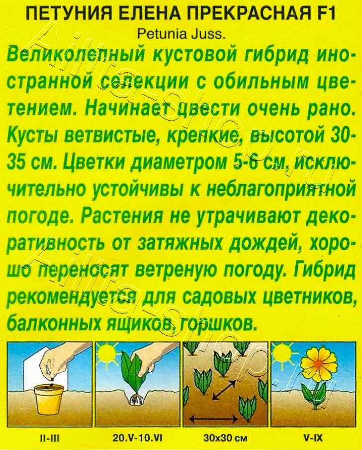Петуния Елена Прекрасная F1 многоцветковая 7шт