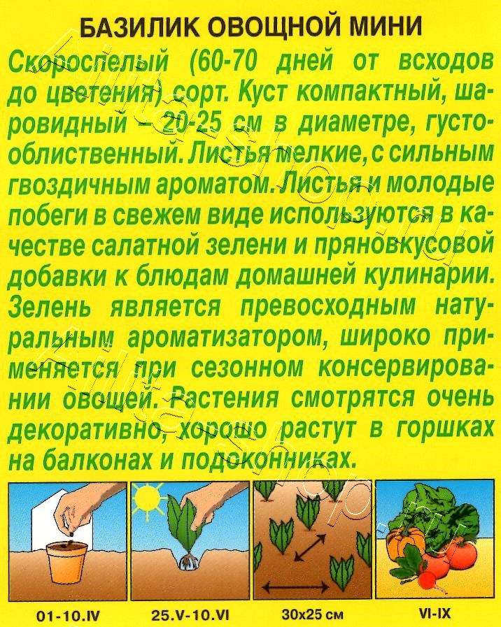 Базилик овощной Мини 0,3г