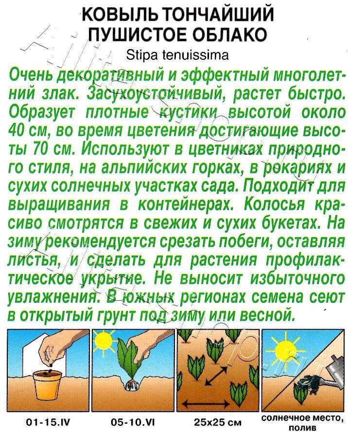 Ковыль Пушистое облако 5шт