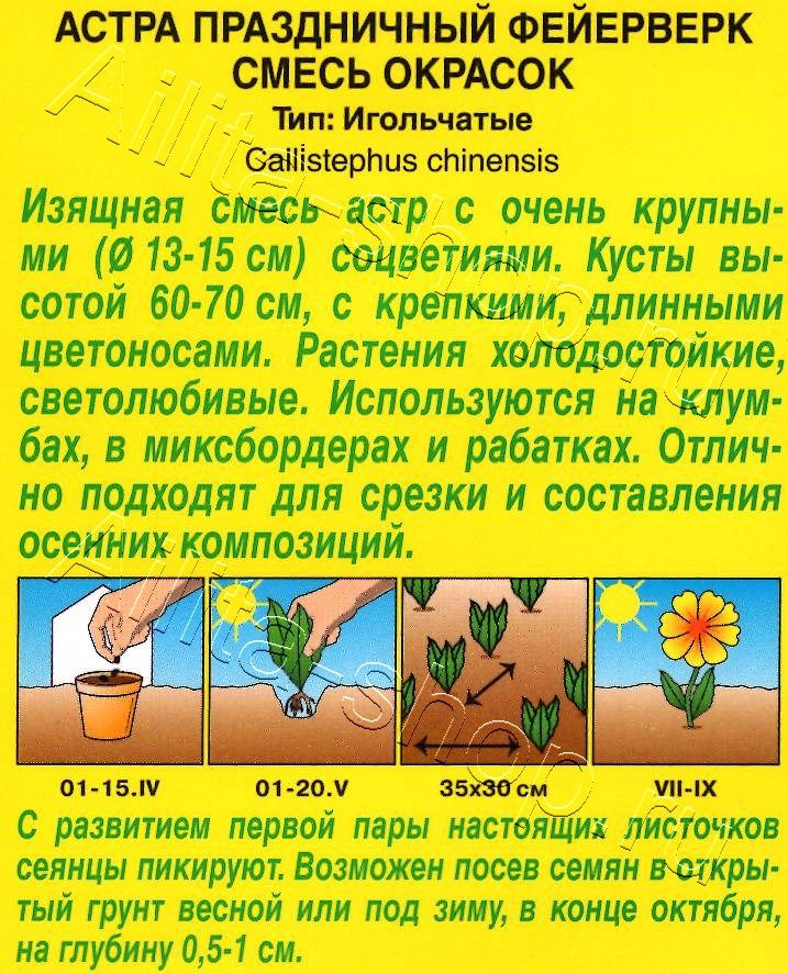 Астра Праздничный фейерверк, смесь окрасок 0,2г