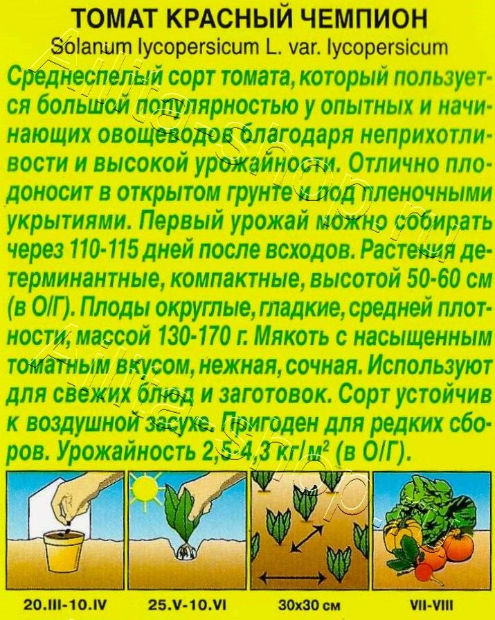 Томат Красный чемпион 20шт