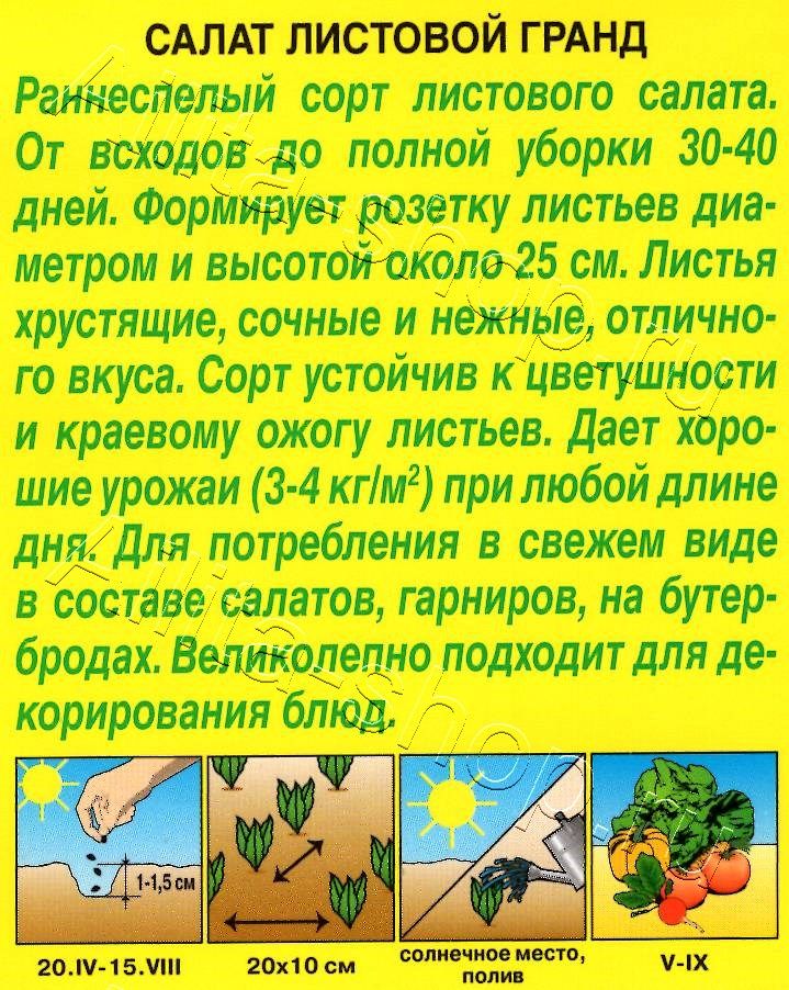 Салат Гранд листовой 0,5г