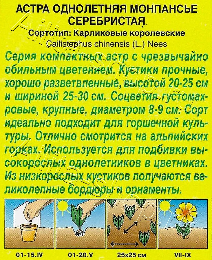 Астра Монпансье серебристая 0,2г
