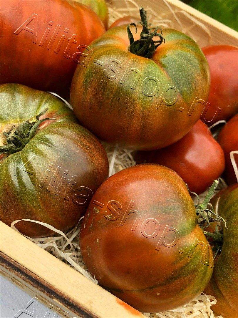 Томат Шоколадный заяц 20шт