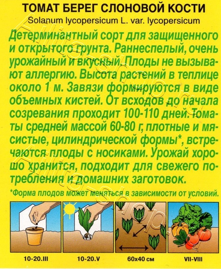 Томат Берег слоновой кости 20шт