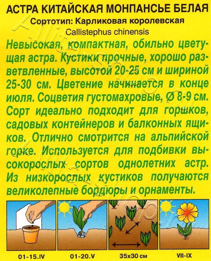 Астра Монпансье белая 0,2г