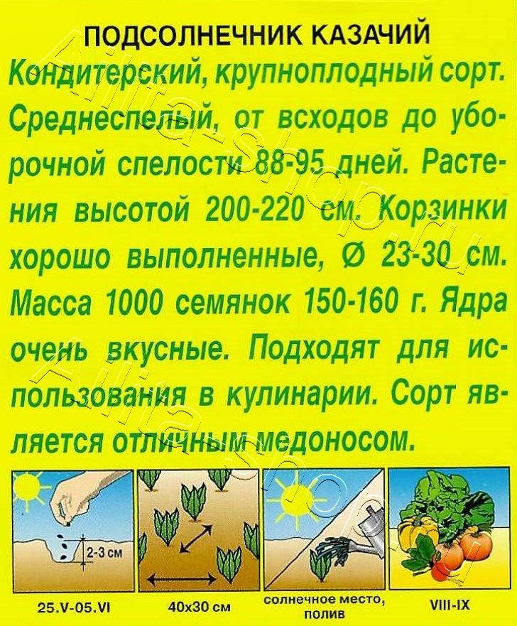 Подсолнечник Казачий 5г