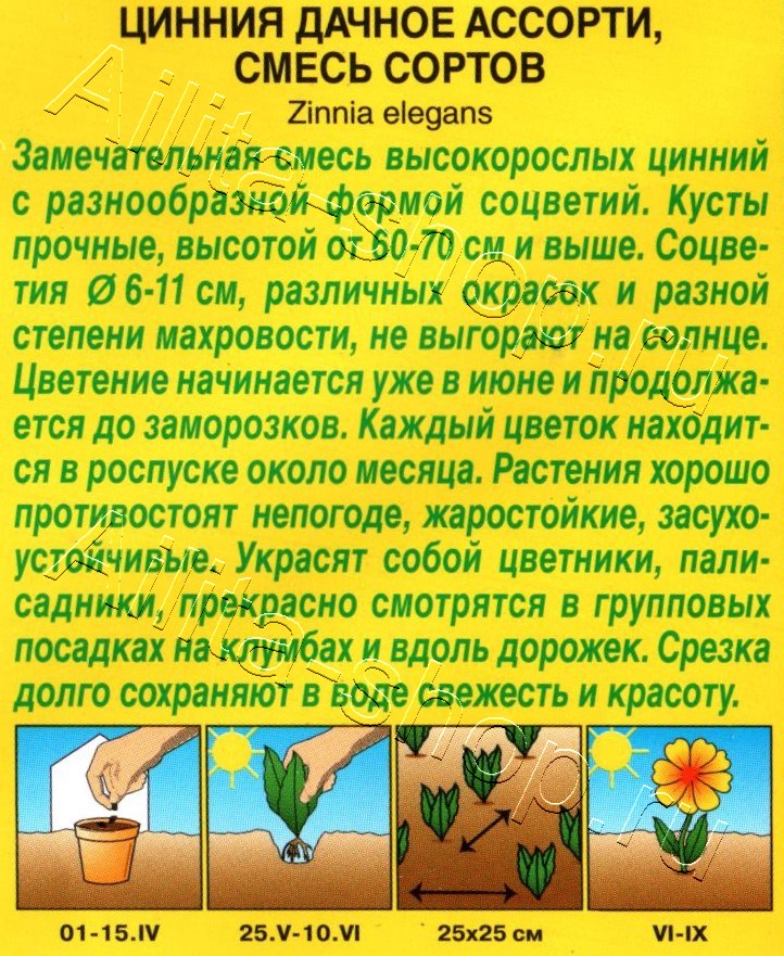 Цинния Дачное ассорти, смесь сортов 0,3г