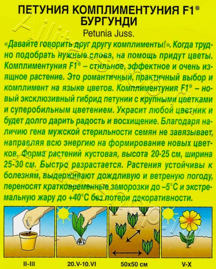Петуния Комплиментуния F1 бургунди крупноцветковая 7шт