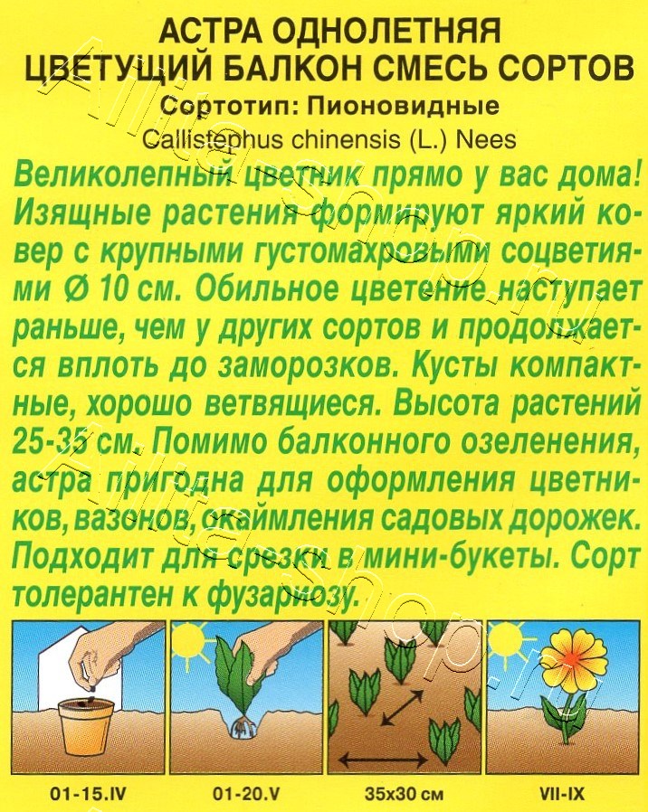 Астра Цветущий балкон, смесь окрасок 0,2г