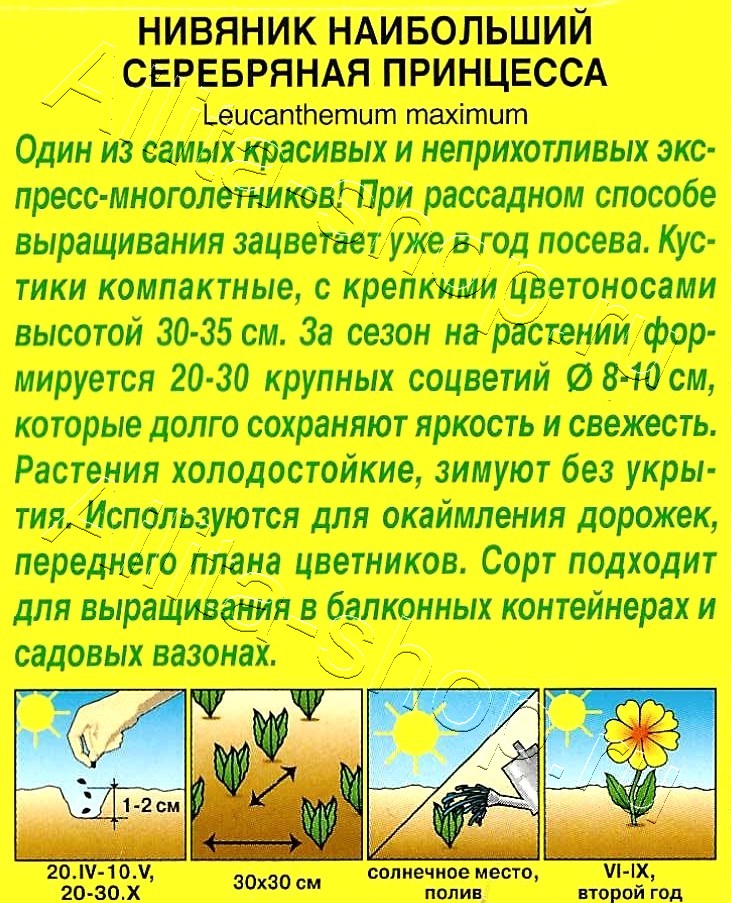 Нивяник Серебряная принцесса 0,2г