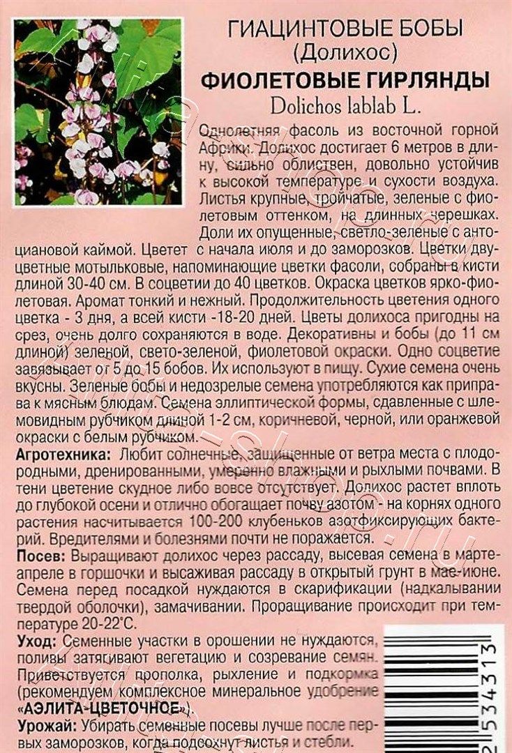 Бобы гиацинтовые Фиолетовые гирлянды 1г