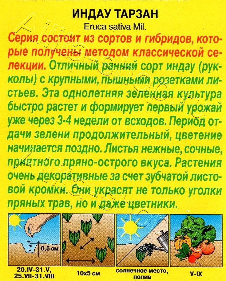 Индау (руккола) Тарзан 0,3г