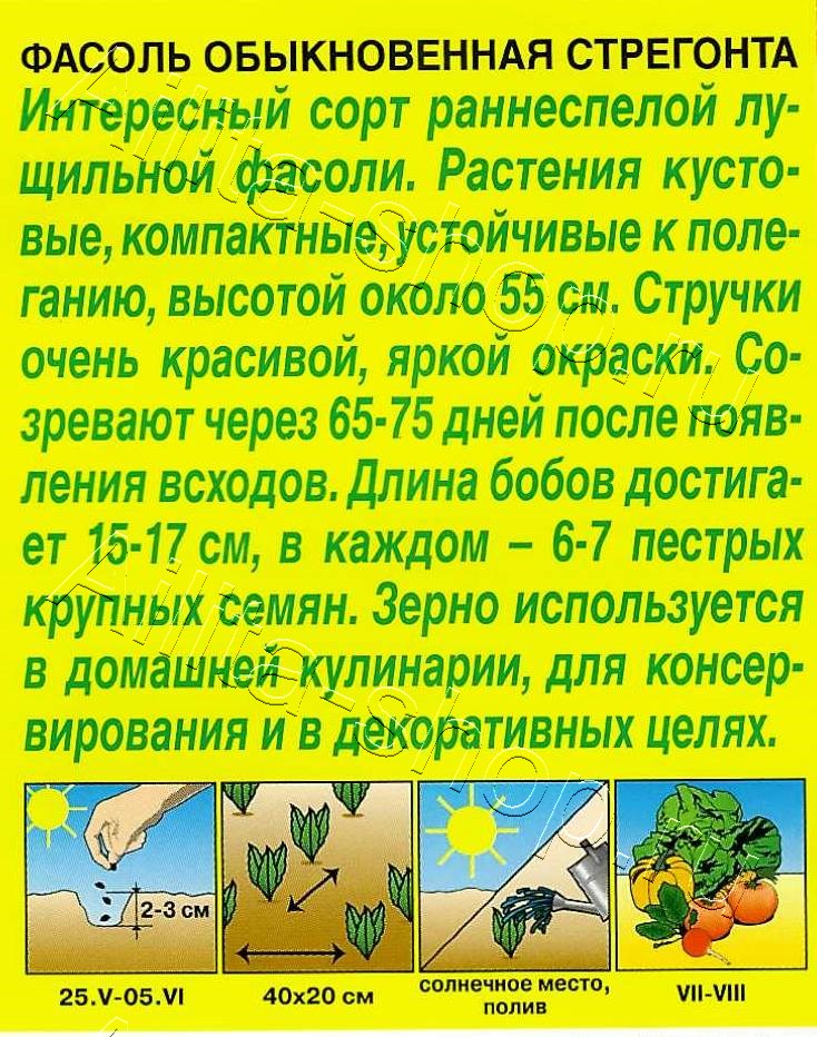 Фасоль обыкновенная Стрегонта 5г