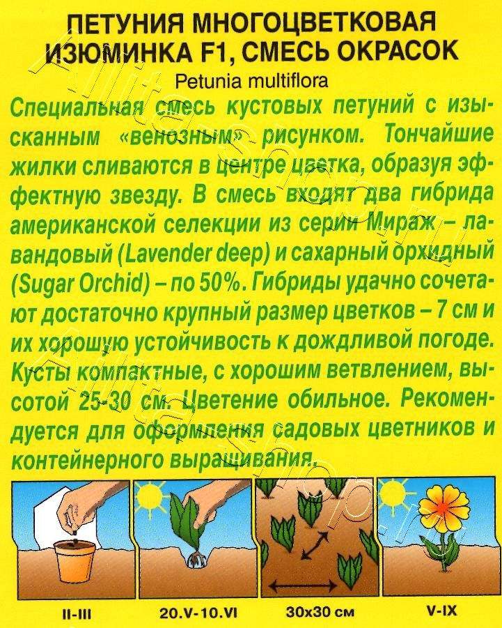 Петуния Изюминка F1 многоцветковая, смесь окрасок 10шт