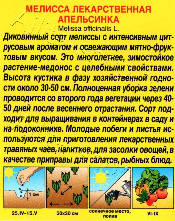 Мелисса лекарственная Апельсинка 5шт