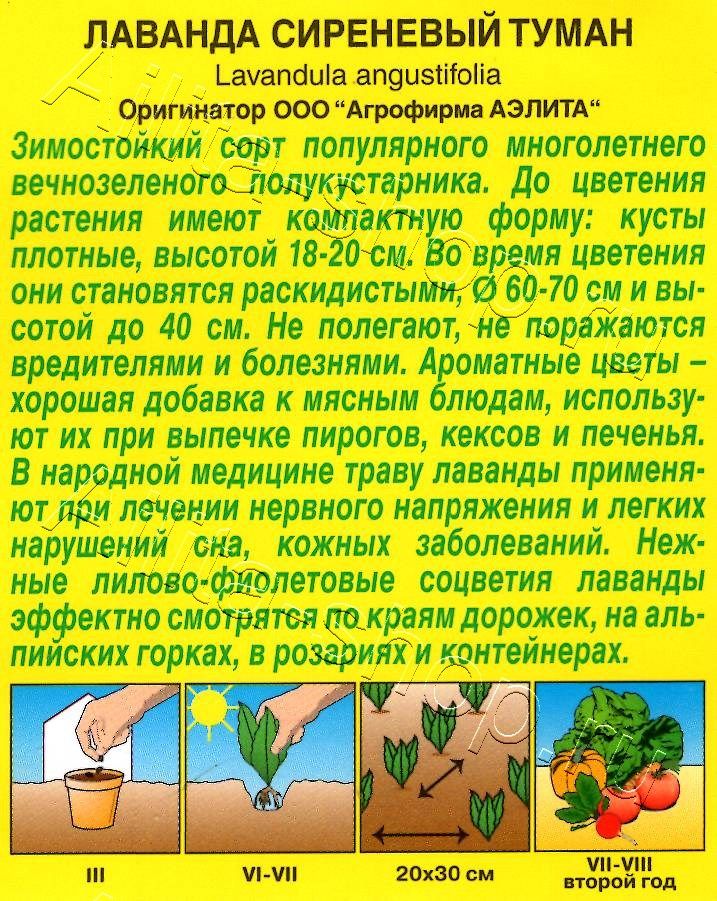 Лаванда Сиреневый туман 0,1г