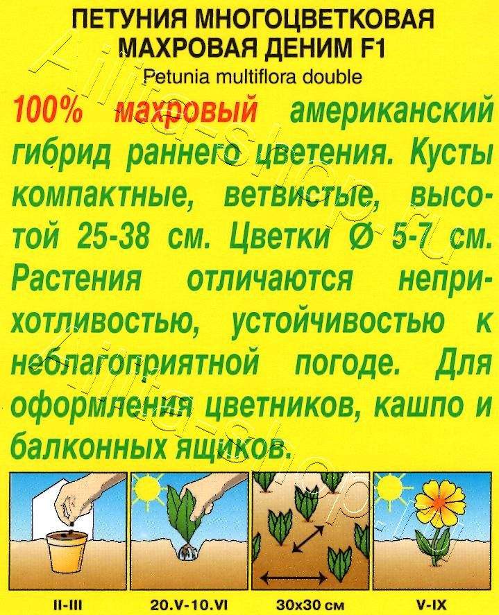 Петуния Деним F1 многоцветковая махровая 10шт