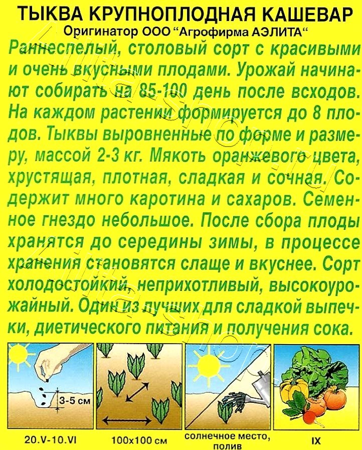 Тыква крупноплодная Кашевар 2г