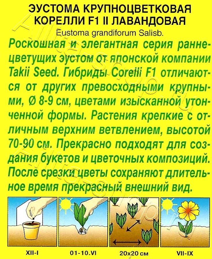 Эустома Корелли F1 лавандовая 5шт