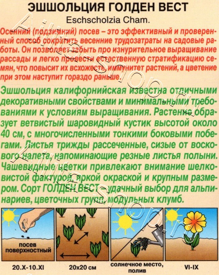 Эшшольция Голден вест 20шт