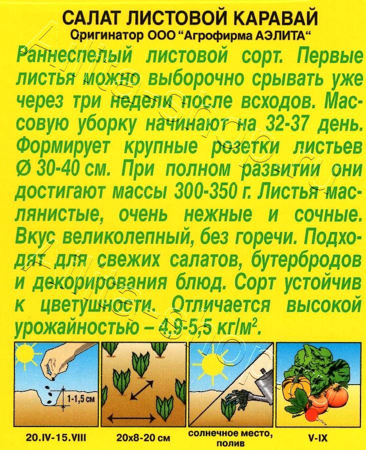 Салат Каравай листовой 0,5г