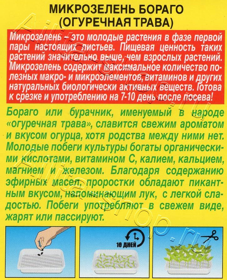 Микрозелень Бораго (огуречная трава) 3г