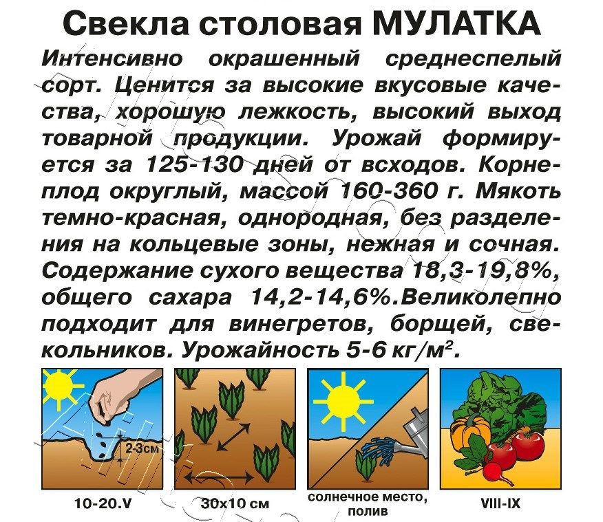Свекла столовая Мулатка 2г