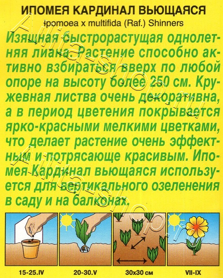 Ипомея Кардинал вьющаяся 0,5г