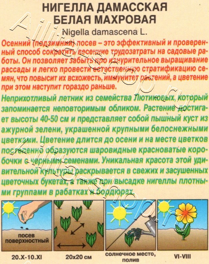 Нигелла Белая махровая 0,3г