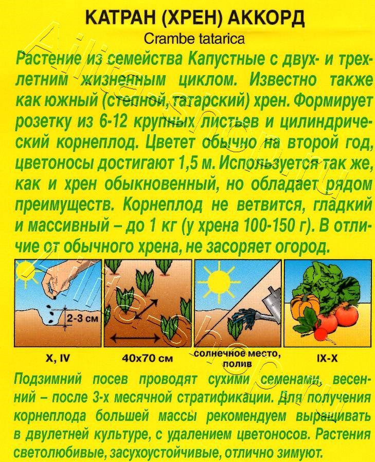 Катран (хрен) Аккорд 0,3г