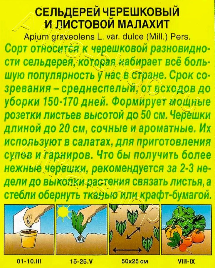 Сельдерей черешковый Малахит 0,5г