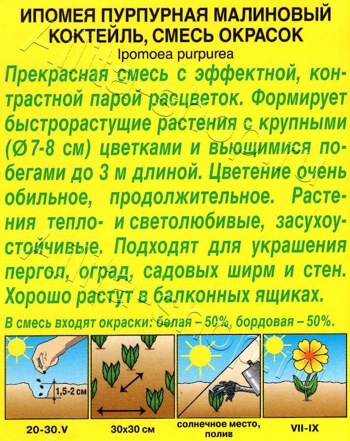 Ипомея Малиновый коктейль, смесь окрасок 0,5г