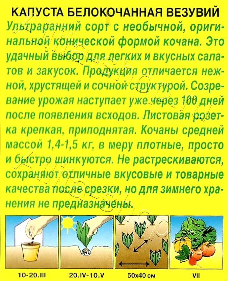 Капуста белокочанная Везувий 0,3г