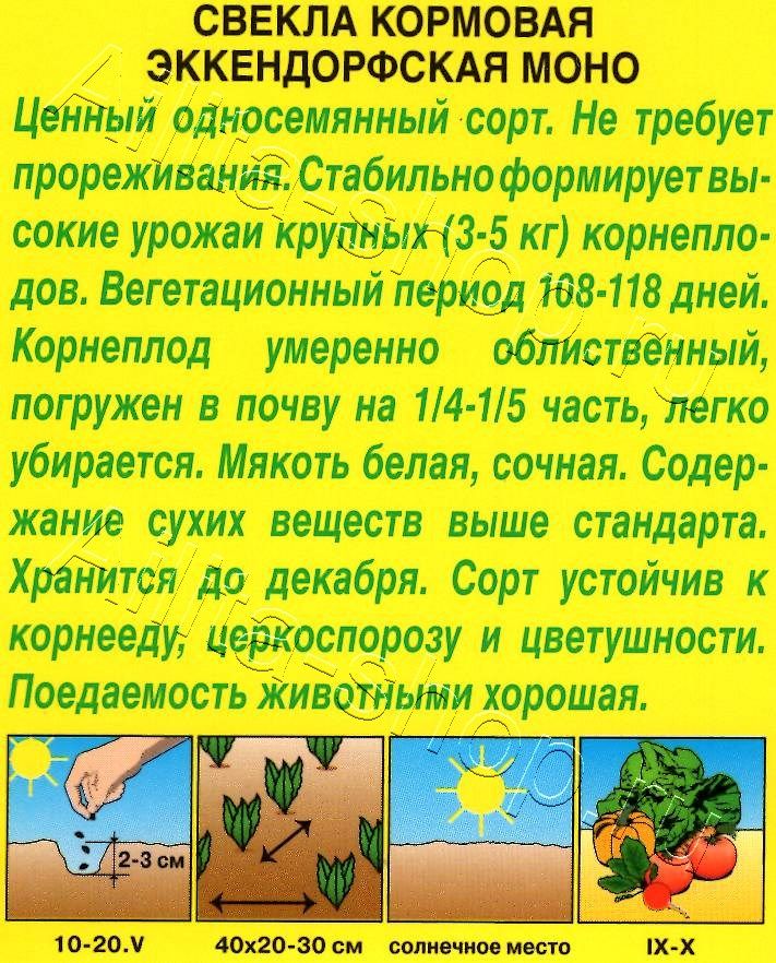 Свекла кормовая Эккендорфская моно 3г