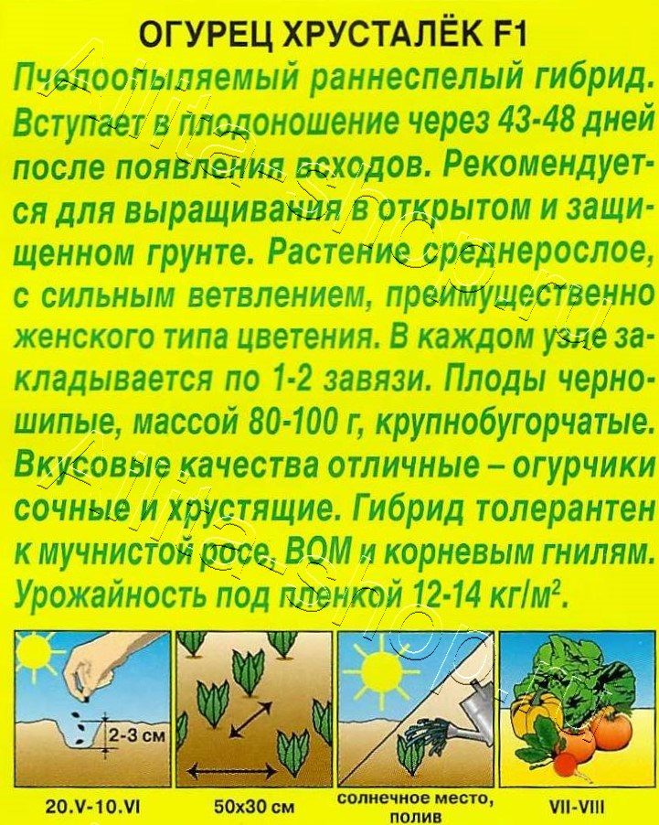 Огурец Хрусталек F1 10шт