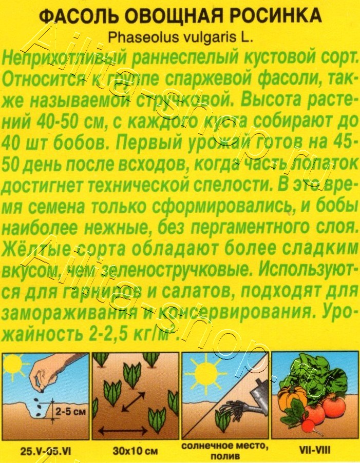 Фасоль овощная Росинка 5г