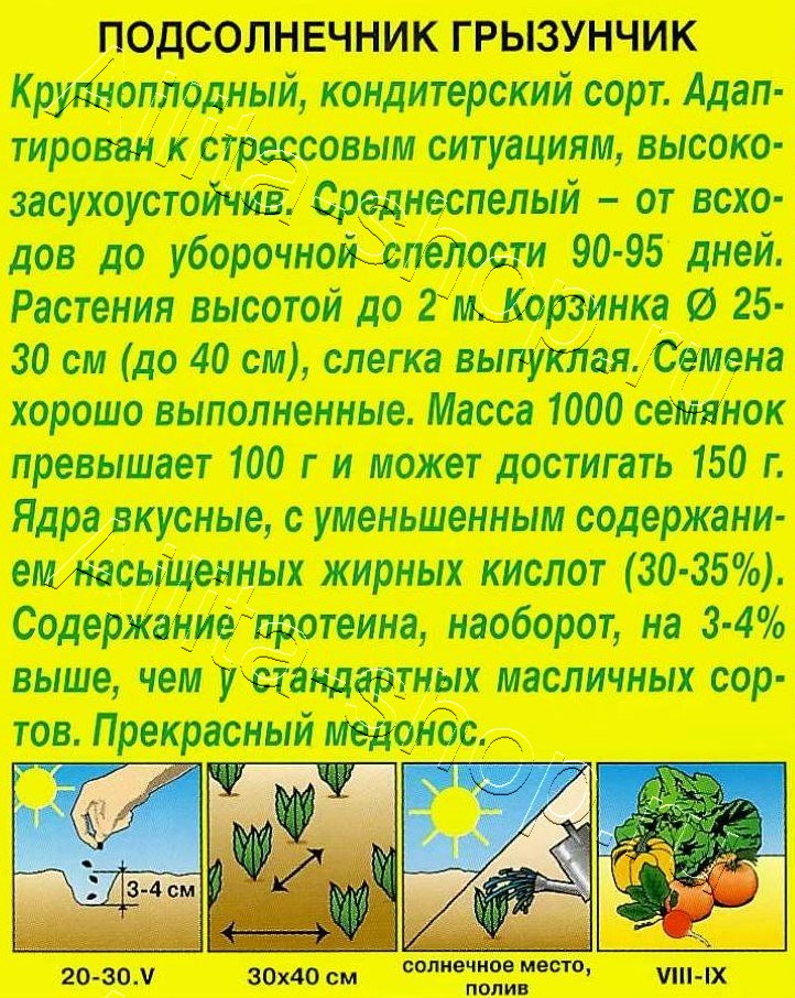 Подсолнечник Грызунчик 5г