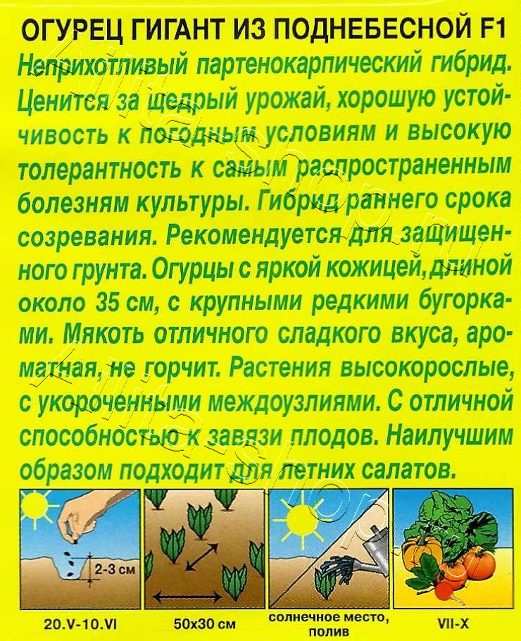 Огурец Гигант из поднебесной F1 10шт