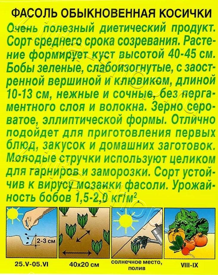 Фасоль обыкновенная Косички 5г