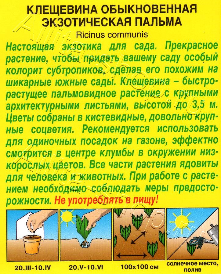 Клещевина Экзотическая пальма 0,5г